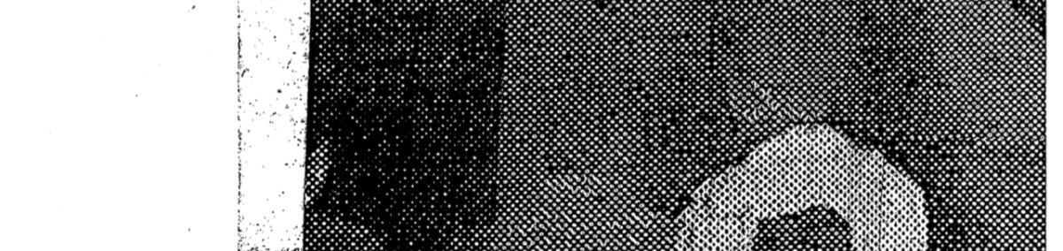 The police mobilize against the Cuckoo’s Nest’s punk&nbsp;audience